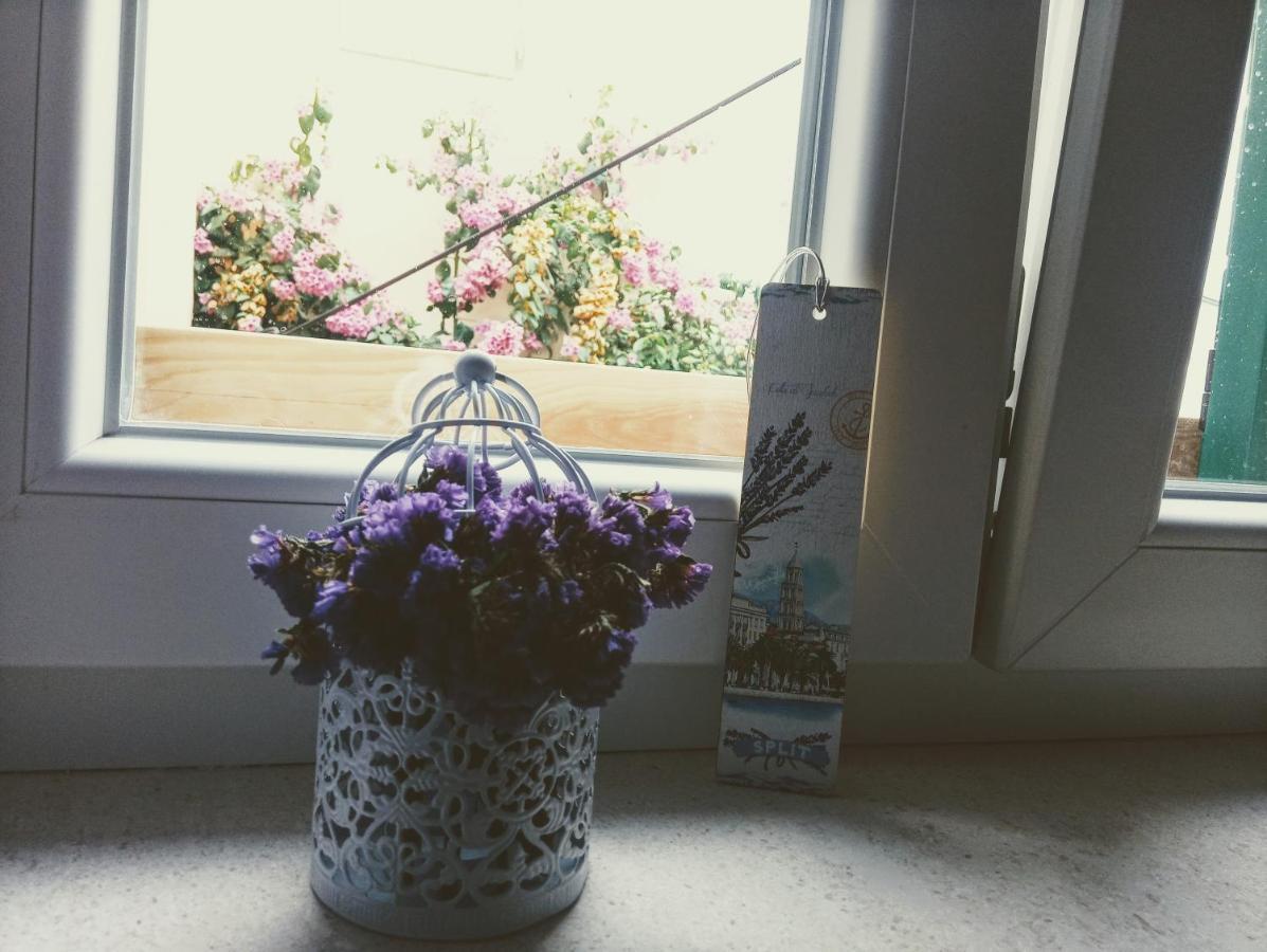Apartament Elly