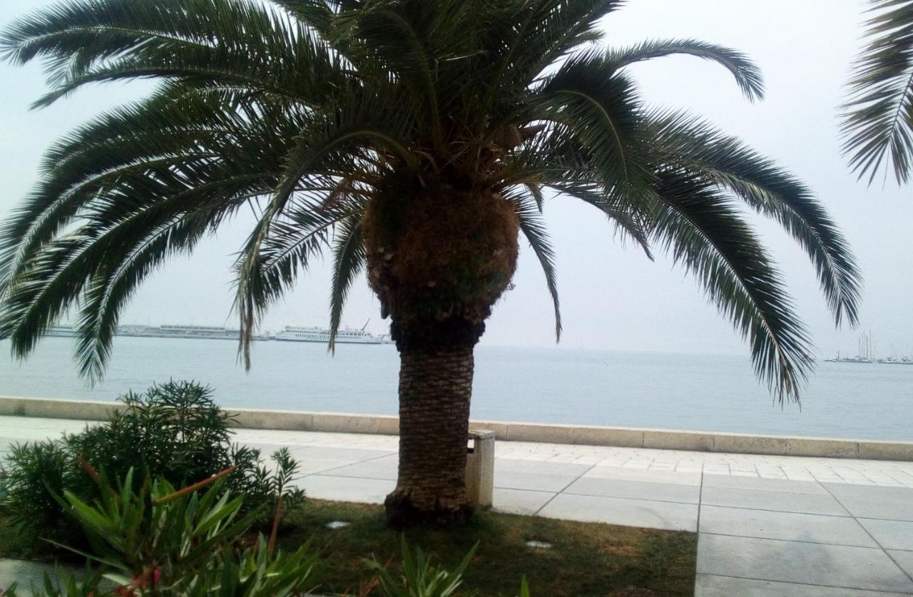 Apartament Elly Split